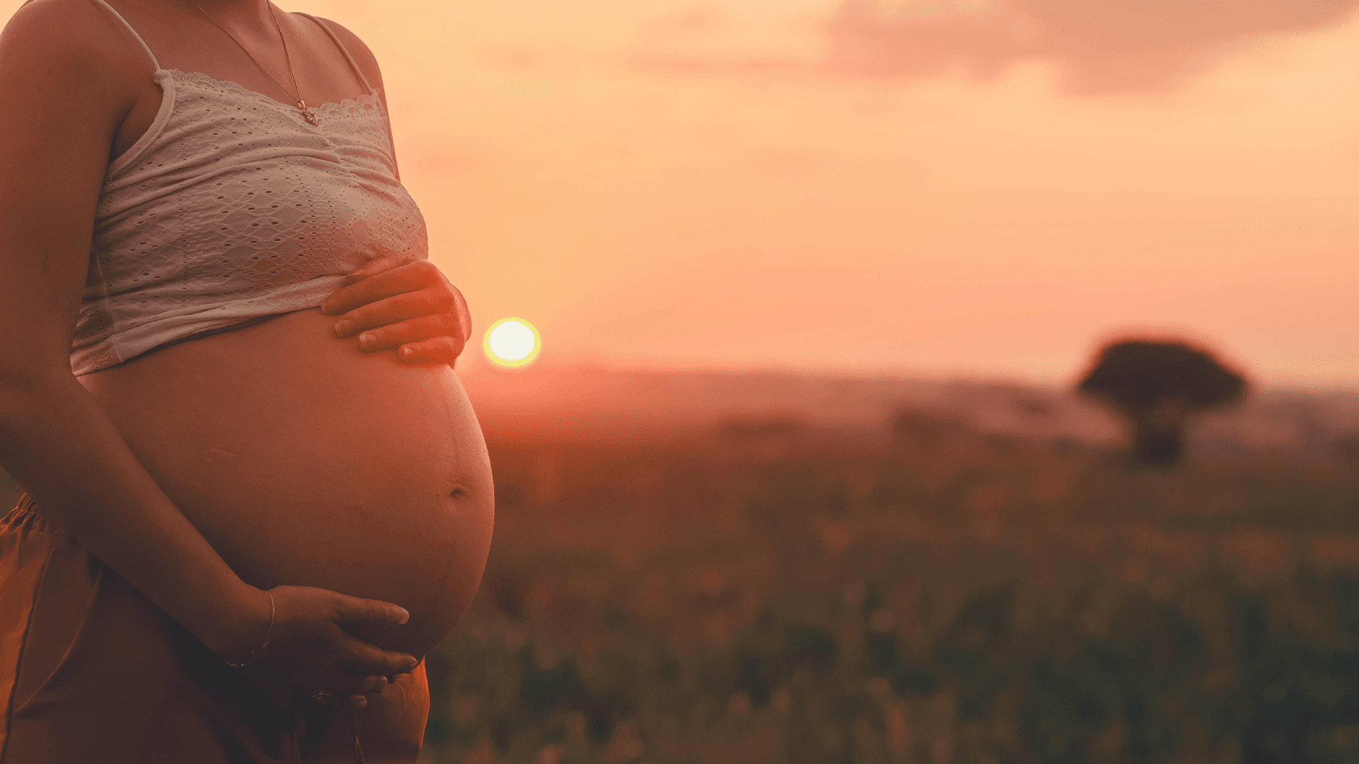 Pregnancy Ultrasound