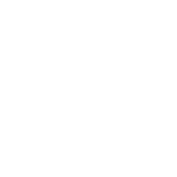 logoWhite