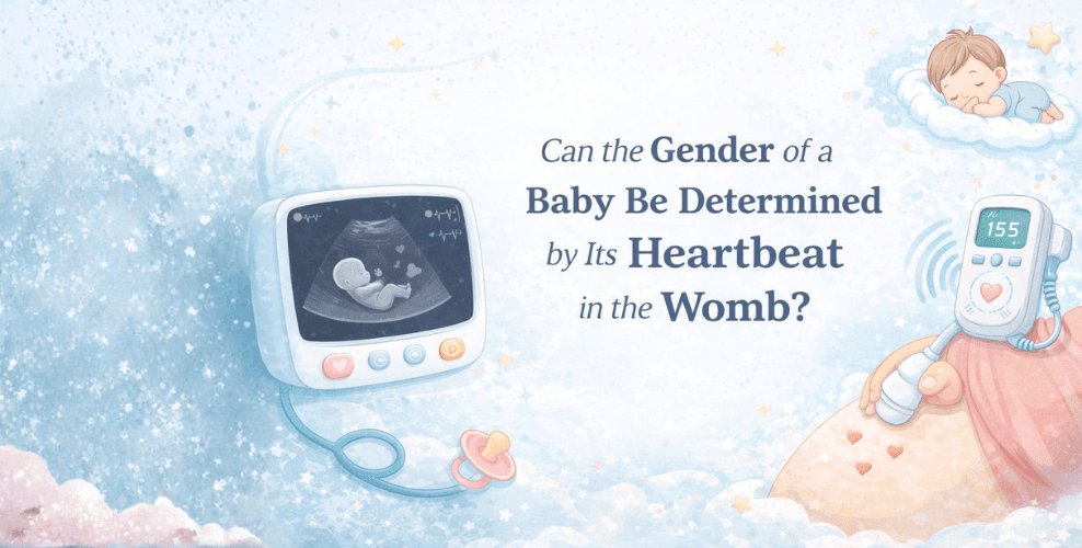 Can the Gender of a Baby Be Determined by Its Heartbeat in the Womb?